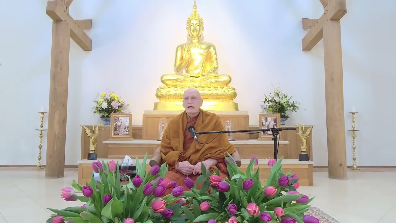 Patient observation, relaxed awareness : Dhamma Talk Ajahn Sumedho