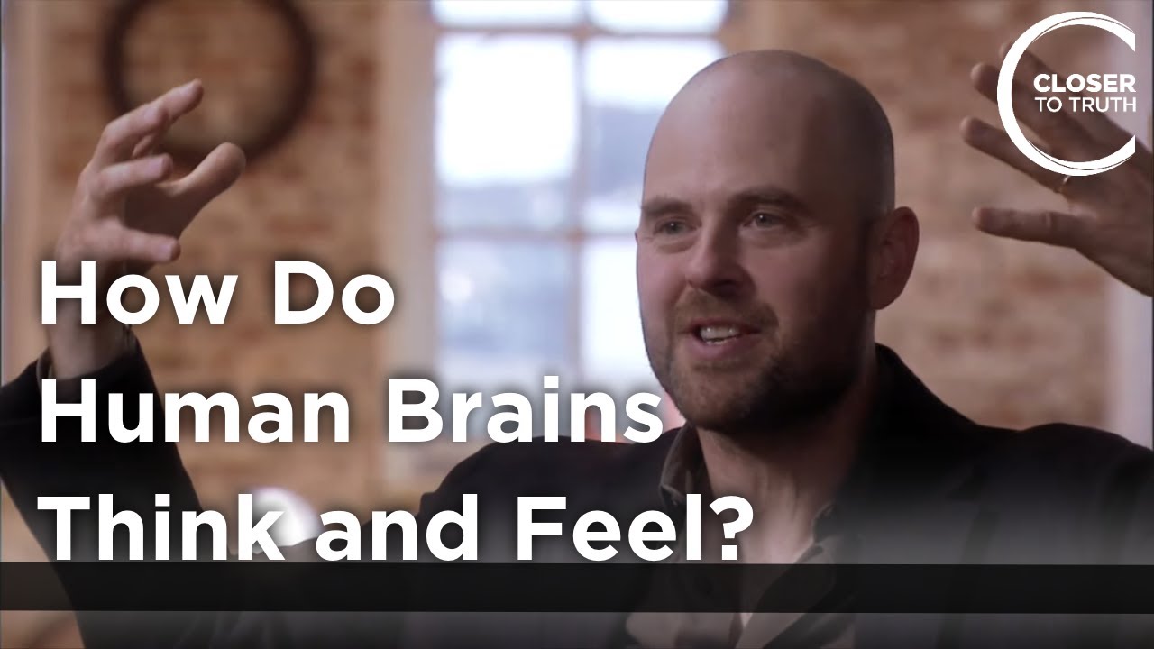 Alva Noë – How do Human Brains Think and Feel?