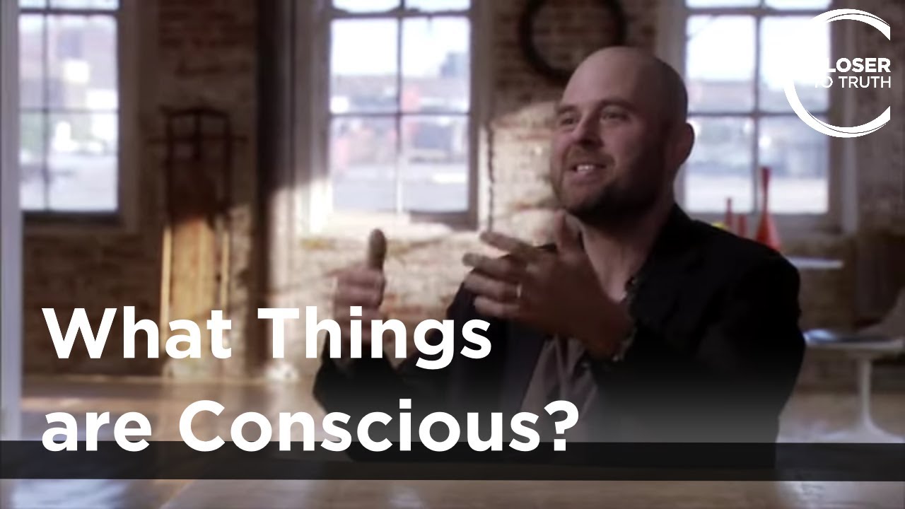 Alva Noe – What Things are Conscious?