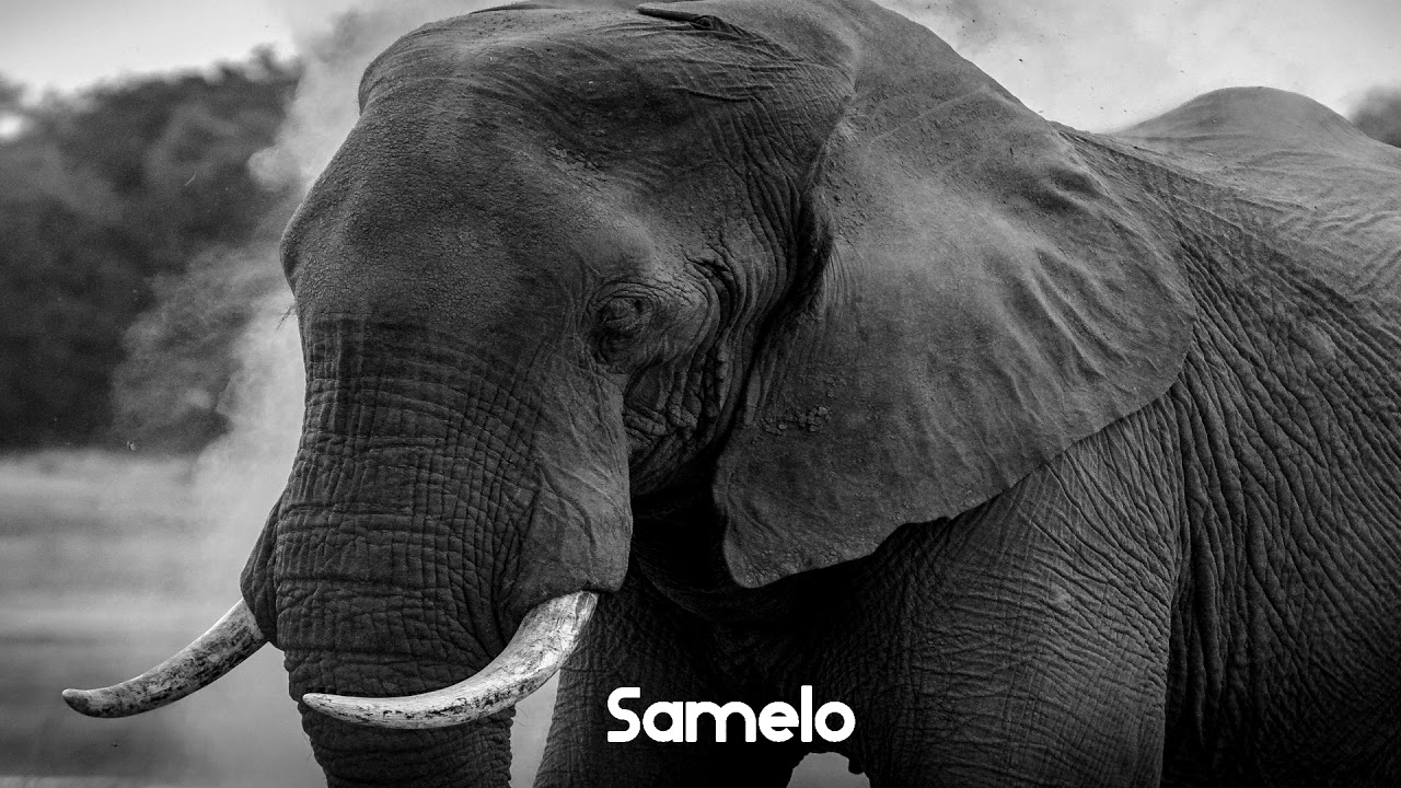 Samelo – Consciousness (Original Mix)