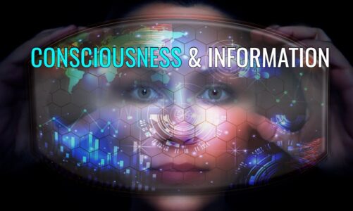 Consciousness & Information | Part II of Consciousness: Evolution of the Mind (2021) Documentary