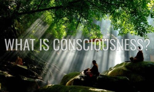 What is Consciousness? Part I of Consciousness: Evolution of the Mind (2021) Documentary