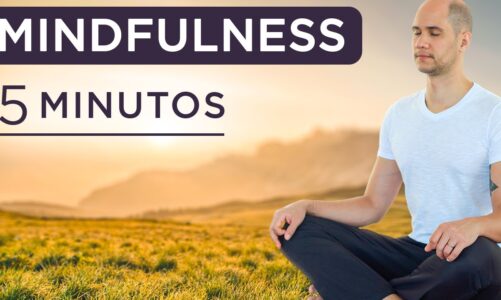 MINDFULNESS 5 MINUTOS | Meditação guiada!