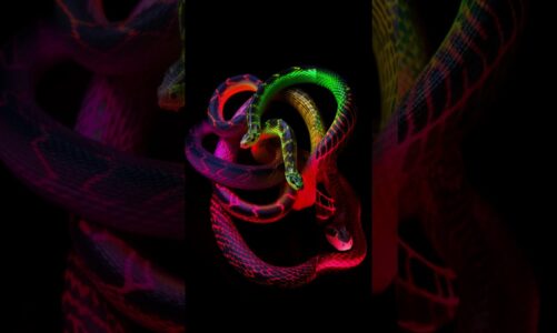 Trippy multi color neon SNAKES! #shorts #aiart #generativeart #snake