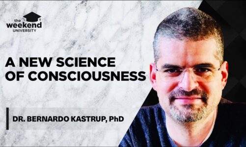 Is Reality Made of Consciousness? – Dr Bernardo Kastrup, PhD