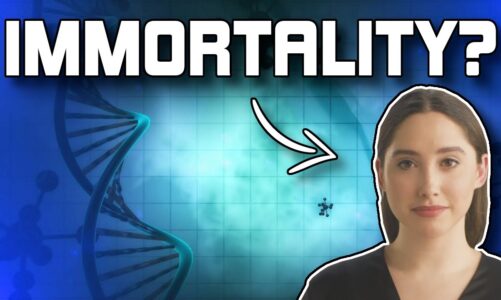AI Explains How To Achieve Immortality (GPT-3)