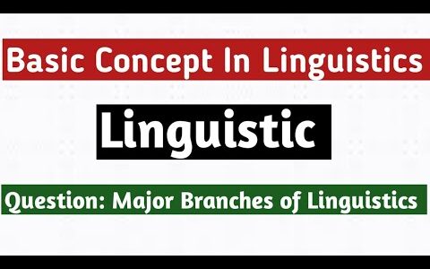 Basic Concepts in Linguistic//Major Branches of Linguistics//Linguistics