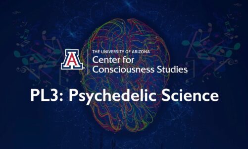 2020 Plenary 3  – The Science of Consciousness 2020 – Psychedelic Science