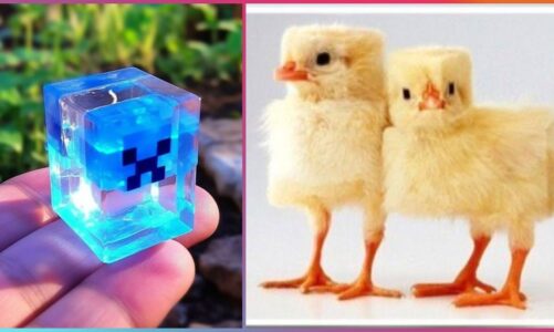 MINECRAFT Creations And Crafts That Are Next Level ▶4