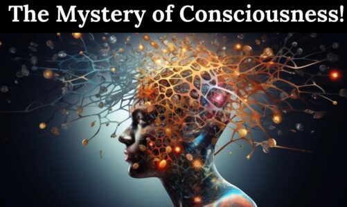 The Mystery of Consciousness! #consciousness #quantumconsciousness #quantummechanics #quantum #mind