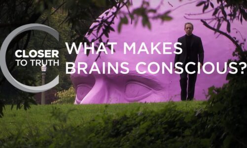 What Makes Brains Conscious? | Episode 706 | Closer To Truth