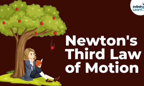 Newton’s Third Law of Motion | Forces and Motion | Physics | Infinity Learn