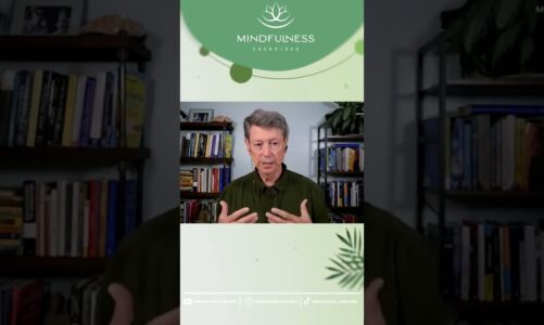 Mindfulness Exercises – What Is The Purpose Of Our Practice – With Dr. Rick Hanson