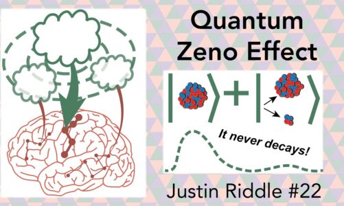 #22 – Quantum Zeno Effect: using your quantum mind to change your digital brain