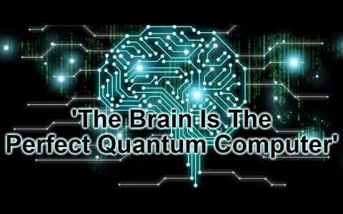 A Scientific Theory of the Soul | Quantum Consciousness | ORCH OR Theory