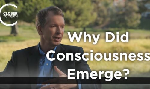 Donald Hoffman – Why Did Consciousness Emerge?