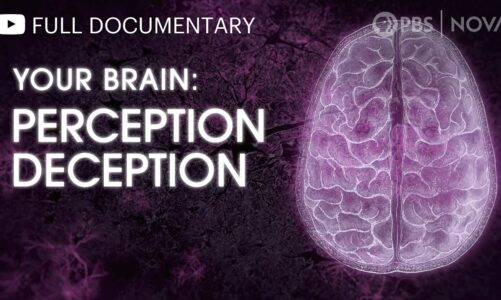 Your Brain: Perception Deception | Full Documentary | NOVA | PBS