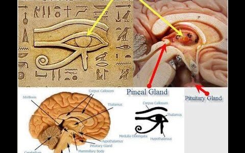 Quantum Mind (Mental Transmutation)