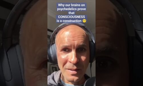 Anil Seth on why psychedelics PROVE consciousness is a construction #shorts #mind #consciousness