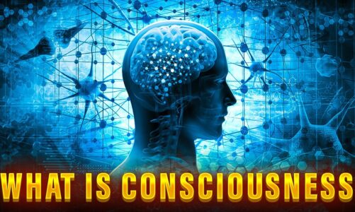 What is Consciousness and How Does It Arise in the Brain?