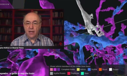 Stephen Wolfram on Observer Theory