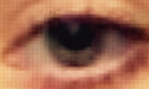 El DOGE está construyendo un Estado de vigilancia