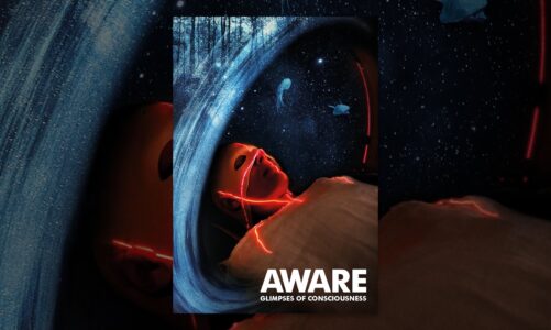 Aware: Glimpses of Consciousness