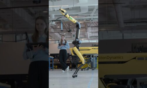 Having Such a Good Time #AGTAuditions