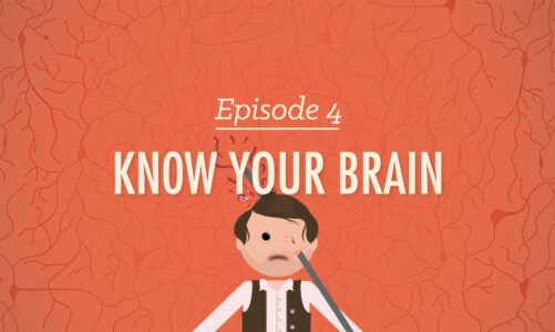Meet Your Master – Getting to Know Your Brain: Crash Course Psychology #4
