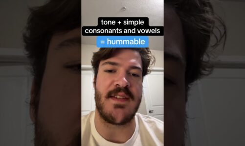 a language you can hum? #linguistics #language #pirahã #anthropology