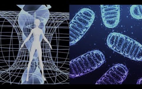 Science Monday! A Proof for Quantum Consciousness? + Mitochondria vs. Obesity