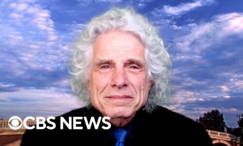 Harvard professor Steven Pinker unpacks stakes of Trump legal battle