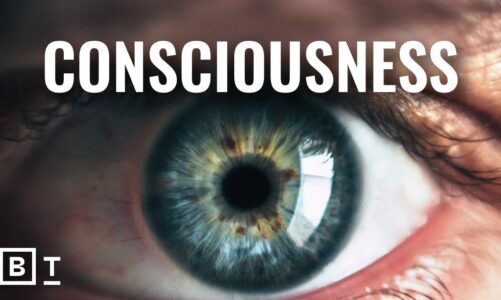Is consciousness an illusion? 5 experts explain