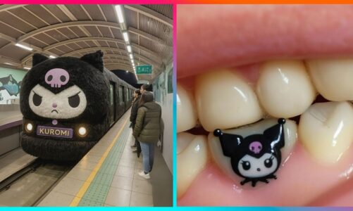 Cute My Melody & Kuromi Ideas to Boost Your Serotonin | Hello Kitty Friends