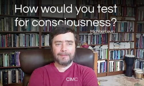 Michael Levin: How would you test for consciousness?
