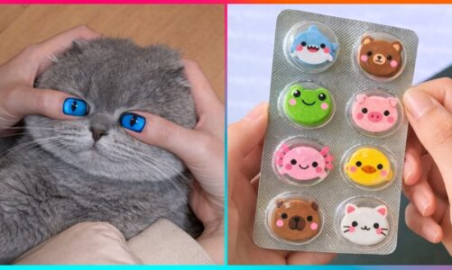 Fun Art Things to do When Bored