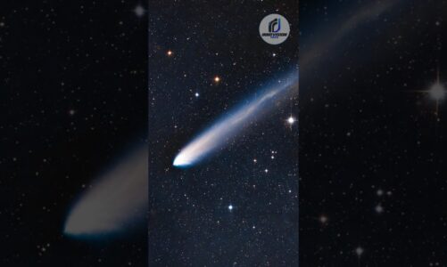 Pourquoi les comètes C/2025 V1 et 3I ATLAS n’ont-elles pas de queue ? #trending #shorts