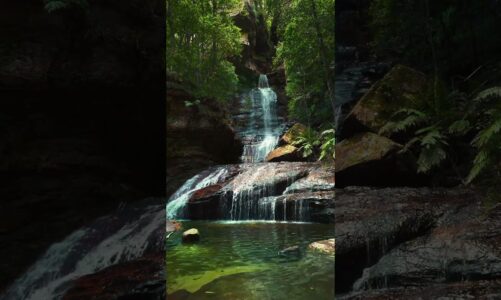 Relaxing Zen Music with Nature Sounds for Meditation, Spa, Sleep & Relaxation