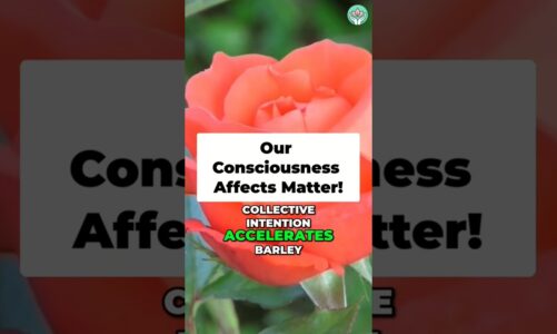 Consciousness Affects Reality (Science Measured)