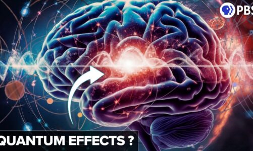 Was Penrose Right? NEW EVIDENCE For Quantum Effects In The Brain