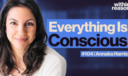 Is Consciousness Fundamental? – Annaka Harris