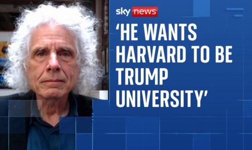 Steven Pinker says Trump is ‘clearly breaking the law’ over foreign student ban