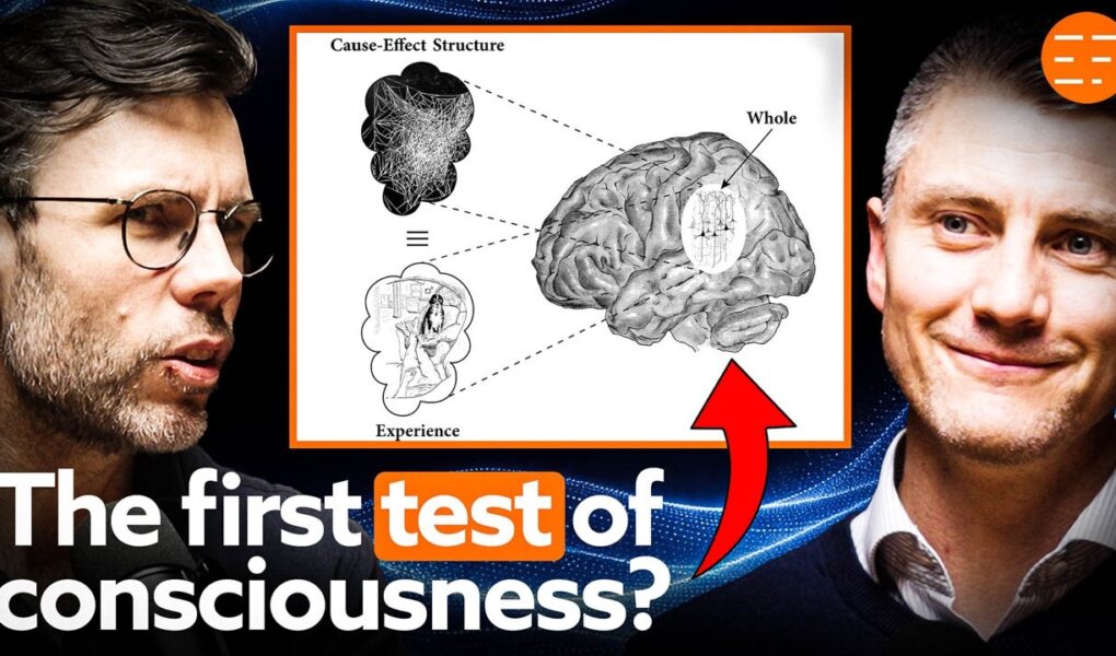 The Science That Can End The AI Consciousness Debate | Integrated Information Theory Explained