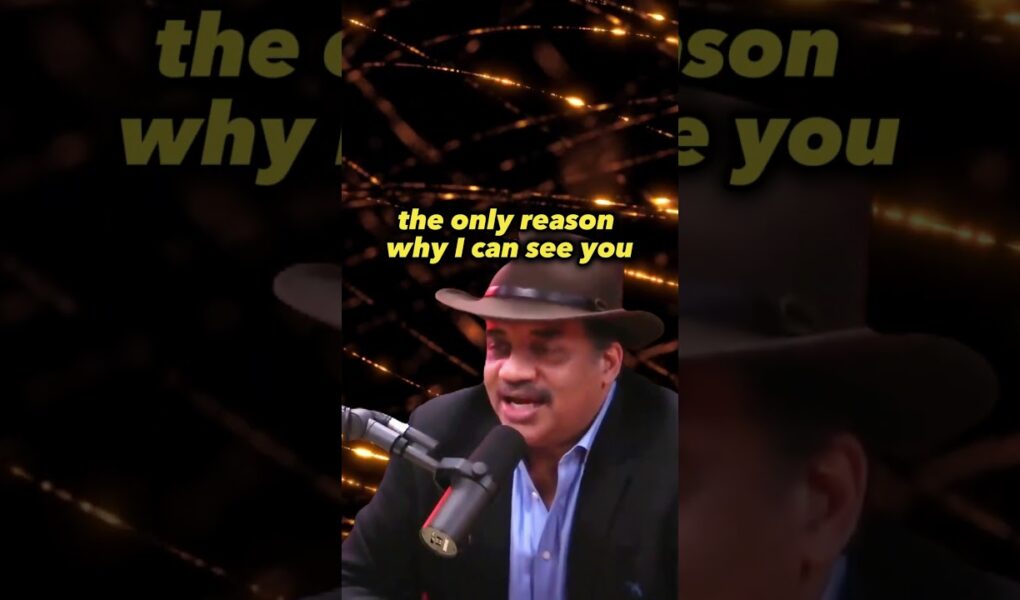 Demystifying the Observer Effect: Neil deGrasse Tyson Explains | Joe Rogan Experience #JRE #919