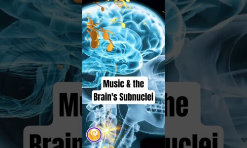 Music & the Subnuclei of Your Brain: Life Hack