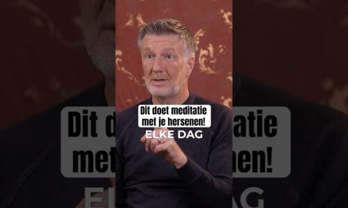 Dit doet meditatie met je hersenen!