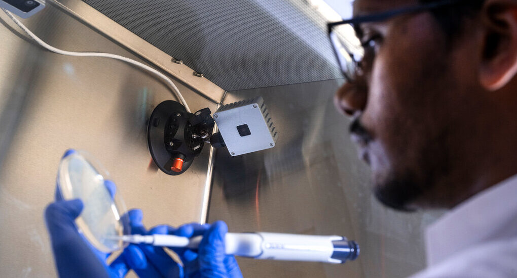Some Scientists Have ‘Magic Hands’ in the Lab. This A.I. Is Learning Why.