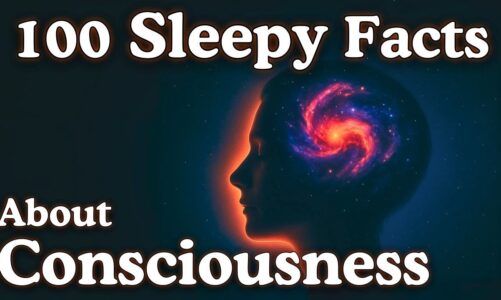 The Most Relaxing Consciousness Facts to Fall Asleep To — Dreamy Science