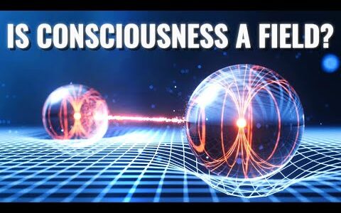 Quantum Entanglement: Is Consciousness a Field?