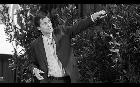 Max Tegmark: Why quantum observers find lower entropy after observation and in our early universe?